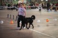 phoca_thumb_l_img_2275