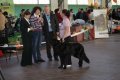 phoca_thumb_l_img_2277