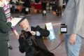 phoca_thumb_l_img_2281