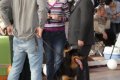 phoca_thumb_l_img_2283