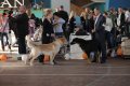 phoca_thumb_l_img_2284