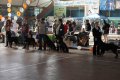 phoca_thumb_l_img_2294