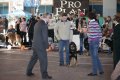 phoca_thumb_l_img_2313