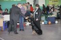phoca_thumb_l_img_2322