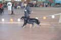 phoca_thumb_l_img_2326