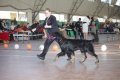 phoca_thumb_l_img_2338