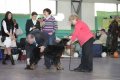 phoca_thumb_l_img_2349