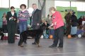 phoca_thumb_l_img_2350