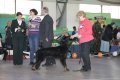 phoca_thumb_l_img_2351