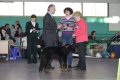 phoca_thumb_l_img_2357