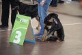 phoca_thumb_l_img_2365
