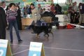 phoca_thumb_l_img_2379