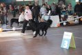 phoca_thumb_l_img_2381