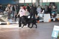 phoca_thumb_l_img_2383