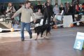 phoca_thumb_l_img_2384