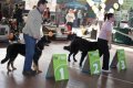 phoca_thumb_l_img_2385