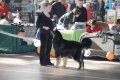 phoca_thumb_l_img_2386