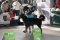 phoca_thumb_l_img_2387