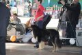 phoca_thumb_l_img_2388