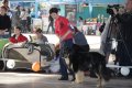 phoca_thumb_l_img_2389
