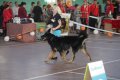 phoca_thumb_l_img_2396