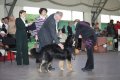 phoca_thumb_l_img_2404