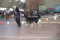 phoca_thumb_l_img_2407