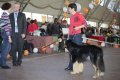 phoca_thumb_l_img_2409