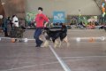 phoca_thumb_l_img_2417