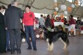 phoca_thumb_l_img_2419