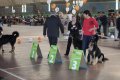 phoca_thumb_l_img_2421