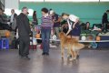 phoca_thumb_l_img_2425