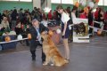phoca_thumb_l_img_2427