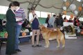 phoca_thumb_l_img_2428
