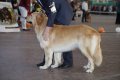 phoca_thumb_l_img_2435