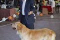 phoca_thumb_l_img_2438