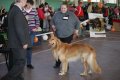 phoca_thumb_l_img_2446