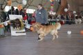 phoca_thumb_l_img_2450
