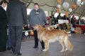 phoca_thumb_l_img_2451