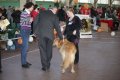 phoca_thumb_l_img_2453