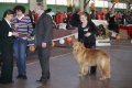 phoca_thumb_l_img_2454