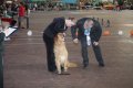 phoca_thumb_l_img_2455