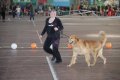 phoca_thumb_l_img_2459