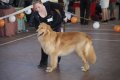 phoca_thumb_l_img_2463