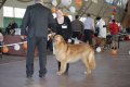 phoca_thumb_l_img_2464
