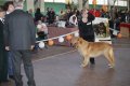 phoca_thumb_l_img_2465