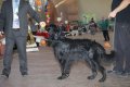 phoca_thumb_l_img_2476