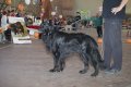 phoca_thumb_l_img_2477