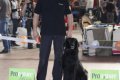 phoca_thumb_l_img_2484