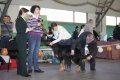 phoca_thumb_l_img_2491